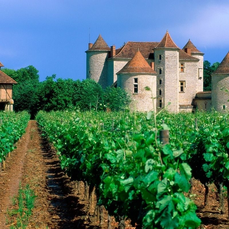 Vinhedos em Cahors, França | Imagem: Reprodução / Wine Tours in France